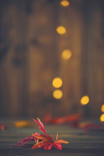istock Fall backgrounds. Rustic still life with leaves and bokeh 613886776