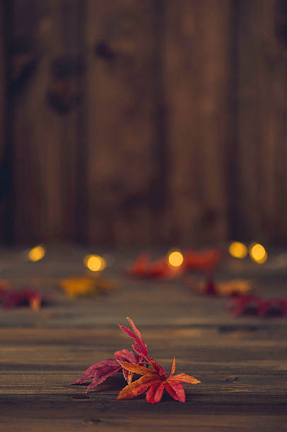 istock Fall backgrounds. Rustic still life with leaves and bokeh 613886794