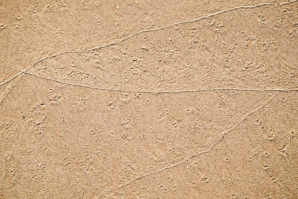 istock Golden brown sand on beach 613888948