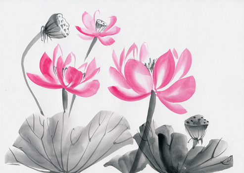 Lotus flower watercolor painting on textured paper, original art, Asian style.