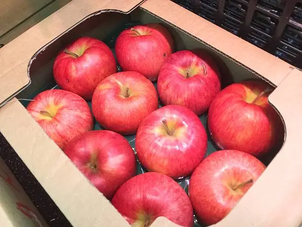 Photo of Red Apples