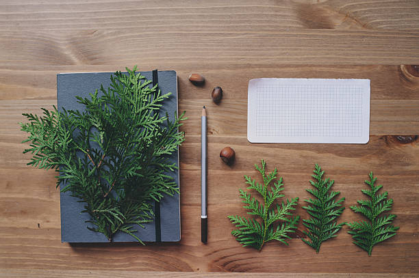 istock top view of notebook and pine branches 613889912