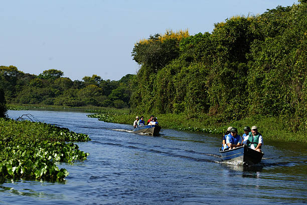 Tourists on a boat ride in the Miranda river, Pantanal Pantanal, Brazil - July 1, 2003: Tourists on a boat ride in the wild Miranda river, Pantanal of Mato Grosso do Sul, Brazil pantanal wetlands photos stock pictures, royalty-free photos & images