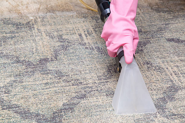 istock Carpets chemical cleaning with professionally extraction method. Early spring cleaning. 613890148