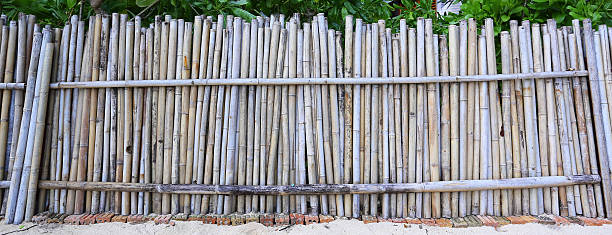 istock Bamboo fences in rural areas. 613890920