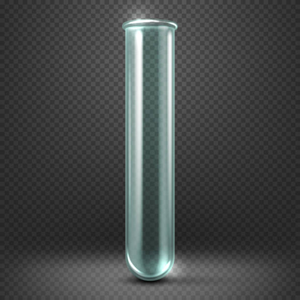 ilustrações de stock, clip art, desenhos animados e ícones de realistic vector empty glass test tube template isolated on transparent - medical research backgrounds laboratory chemistry class