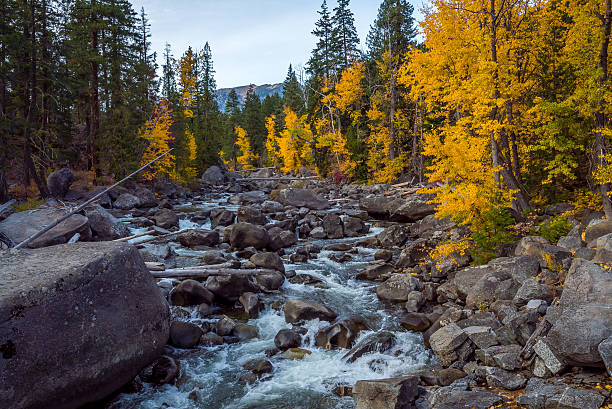 colori vivaci dell'autunno. bellissimo fiume tra le pietre - leavenworth foto e immagini stock