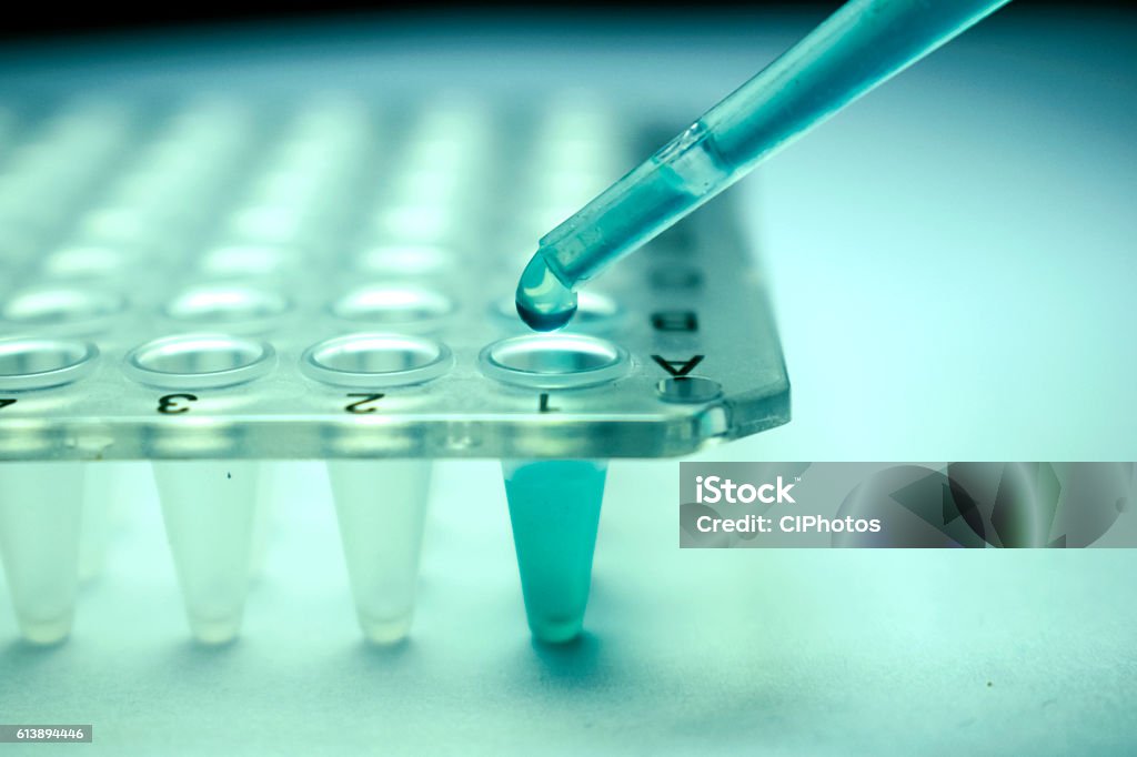 Stem Cell Research Pipette Stem Cell Stock Photo