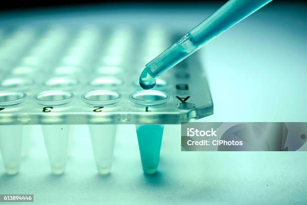 Stem Cell Research Pipette Stock Photo - Download Image Now - Stem Cell, Transplant Surgery, Alternative Therapy