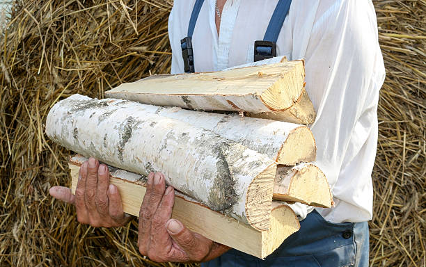 istock Birch firewood in his hands. 613895022
