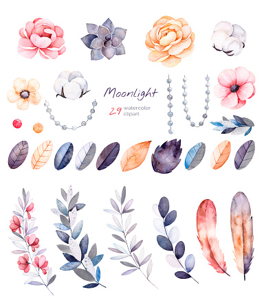 Beautiful winter collection with branches,cotton plants,flowers,strings of pearls,colorful leaves.Winter floral collection with 29 watercolor elements.Set of floral elements.Moonlight collection.