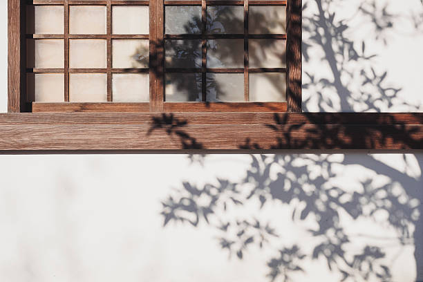 istock Tree Shadow sunlight Shade on wooden window wall 613896784
