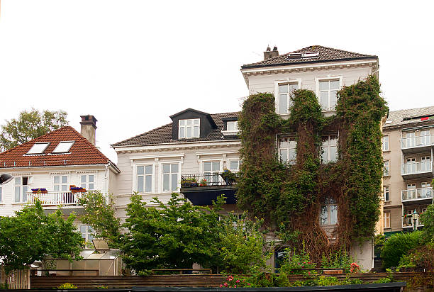 istock The Streets Of Bergen (Norway). 613897036