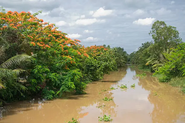 The Mekong Delta in southern Vietnam is a vast maze of rivers, swamps and islands, home to floating markets, Khmer pagodas and villages surrounded by rice paddies.