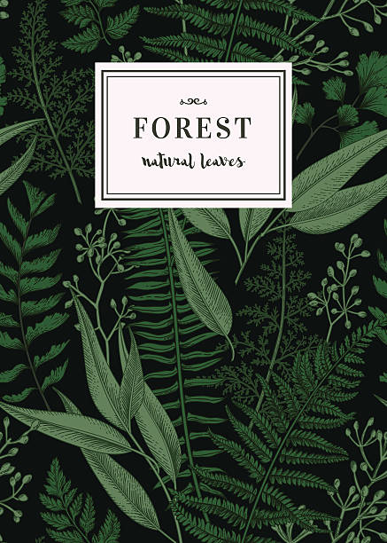 빈티지 스타일의 식물 카드. - backgrounds green leaf abstract stock illustrations