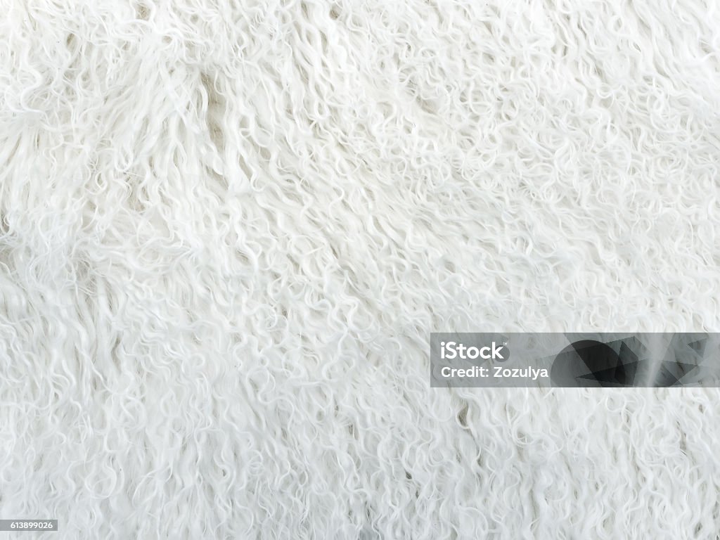 White Long Hair Fur For Background Or Texture 照片檔及更多乾淨照片- 乾淨, 人工造的, 人類的皮膚-  iStock