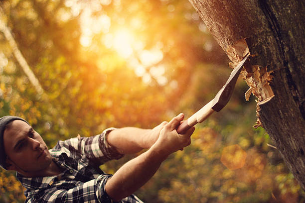 Lumberjack chopping wood in the forest. Axe closeup