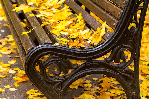 istock Autumn leaves on the bench 613902124