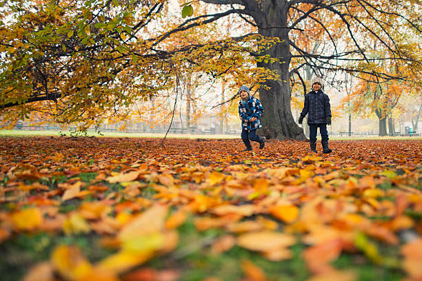 istock Little boys walking in an autumn park 614011054