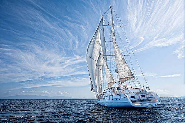 돛단배  - yacht sailing sailboat nautical vessel 뉴스 사진 이미지