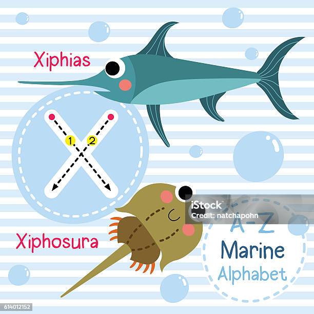 Letter X Tracing Xiphias Xiphosura Marine Alphabet Stock Illustration -  Download Image Now - iStock