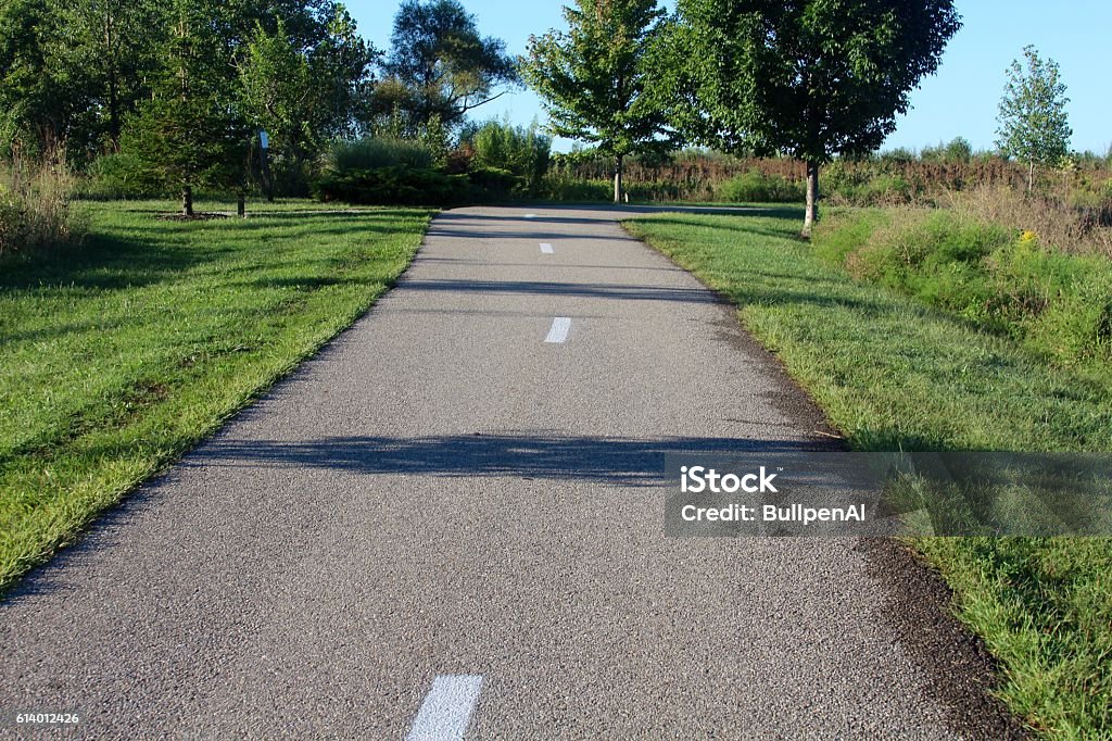 Path Line Feet Long Foot Path Stock Photo - Download Image Now - Blue, Branch - Plant ...