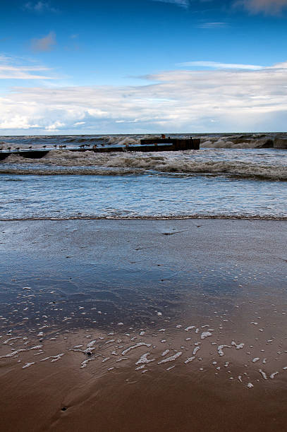 istock Coast of the Baltic Sea 614012480