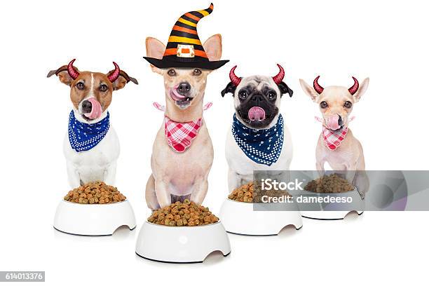 Halloween Devil Dogs Hungry For Food Stock Photo - Download Image Now - Animal, Animal Mouth, Animal Tongue