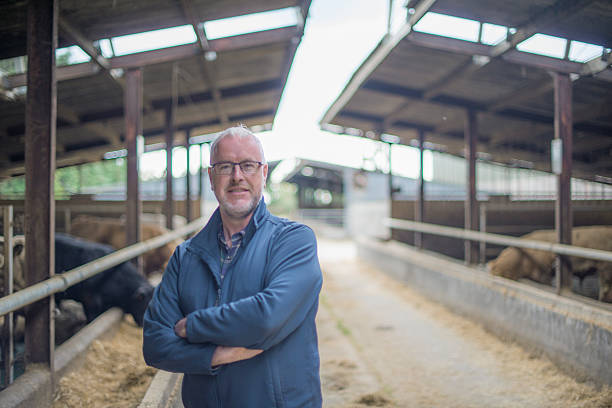 istock Mature farmer in cattle shed 614014688