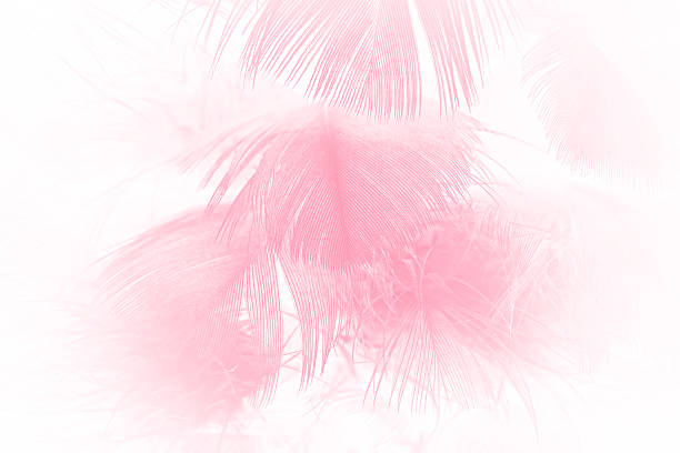istock Coral Pink vintage color trends feather texture background 614015504