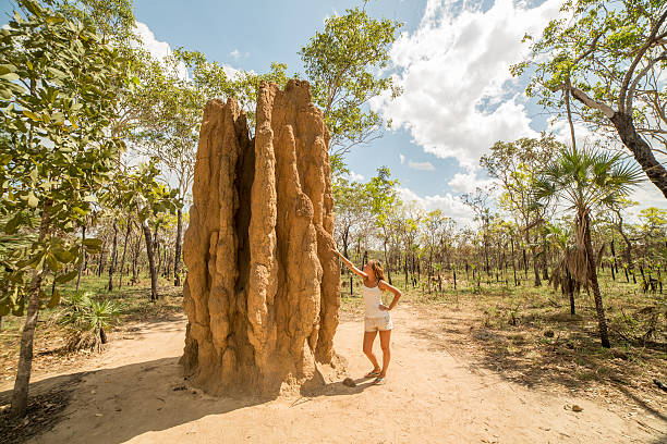 junge frau auf reisen steht an einem riesigen termitenhügel - termite soil stock-fotos und bilder