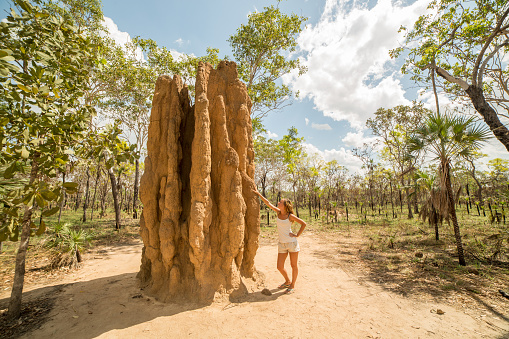 Young woman traveling stands by a huge termite mound, shot in the Litchfield National Park, Northern Territories, Australia.