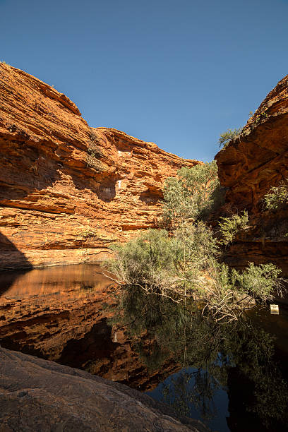 czerwone klify i wodociąg kings canyon, australia - alice springs australian culture desert kings canyon zdjęcia i obrazy z banku zdjęć