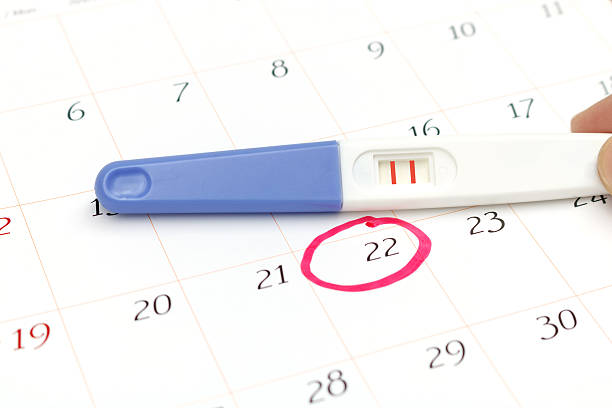 istock Pregnancy test with positive result lying on calendar 614025244