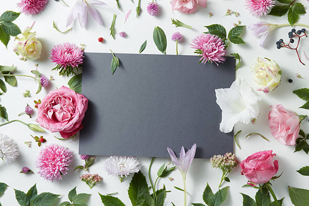 hermosas flores rosas y blancas con cuaderno vacío - flower single flower spa white fotografías e imágenes de stock