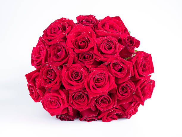 istock Closeup red rose with water dew drops on isolated 1 614026532