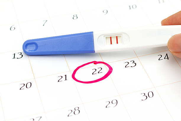 istock Pregnancy test with positive result lying on calendar 614028380