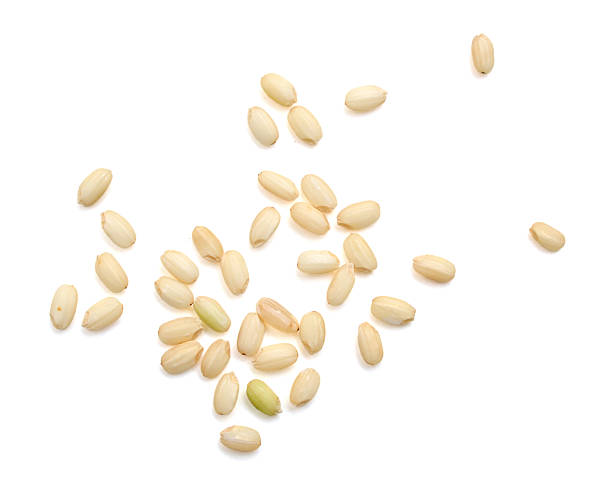 istock top view of  brown rice on white background 614028412