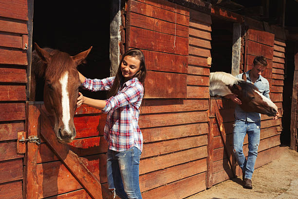 istock Attractive young couple stroking and feeding horses. 614028586