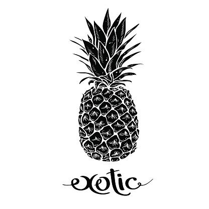 Image of black pineapple fruit lettering exotic on white background. lettering exotic. Print t-shirt, graphic element for your design. Vector illustration.