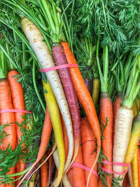Bunch of rainbow carrots stock photo