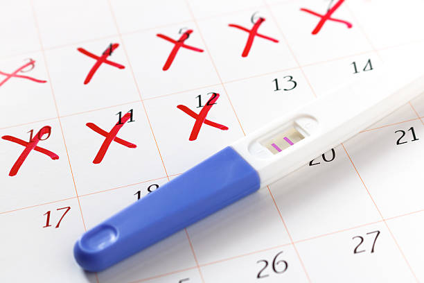 istock Pregnancy test with positive result lying on calendar 614029454