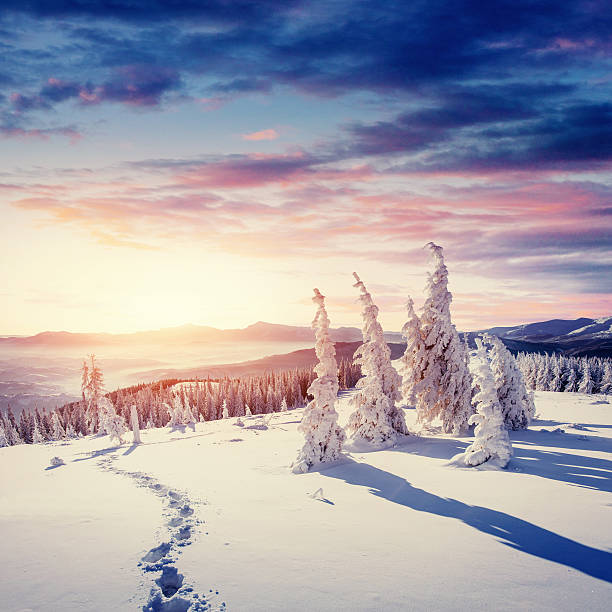 istock Fantastic winter landscape and worn trail leading into the mountains. 614029990