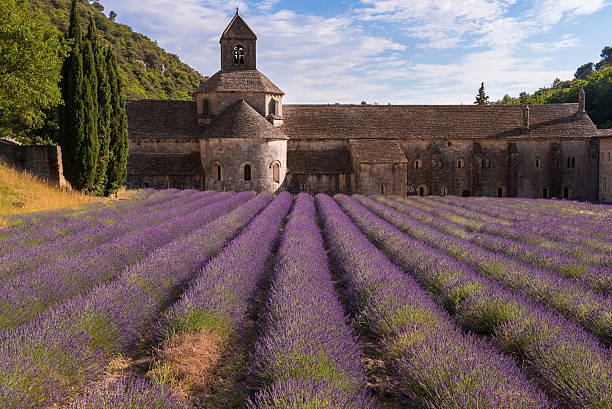 istock Senanque abbey with a lavender field, Provence (France) 614030070