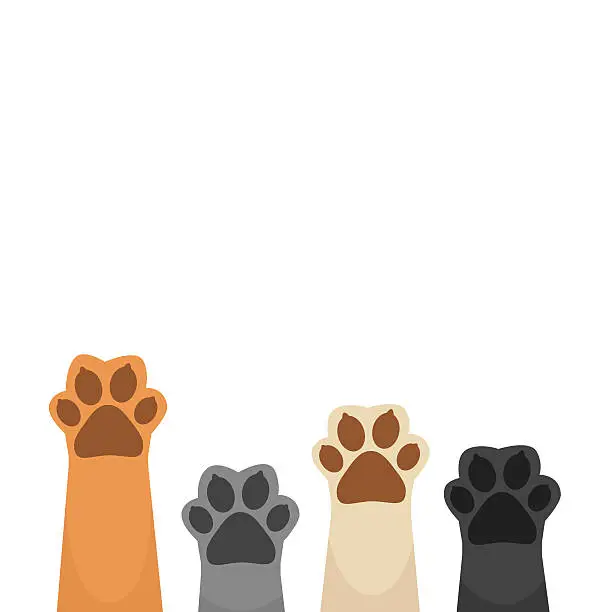 Vector illustration of Paws up background vector
