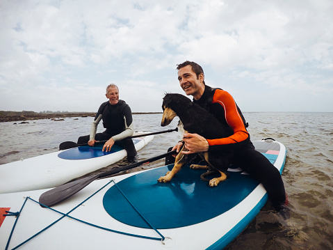 Two men straddling their paddleboards in the sea. One man has his pet dog on his paddleboard with him.