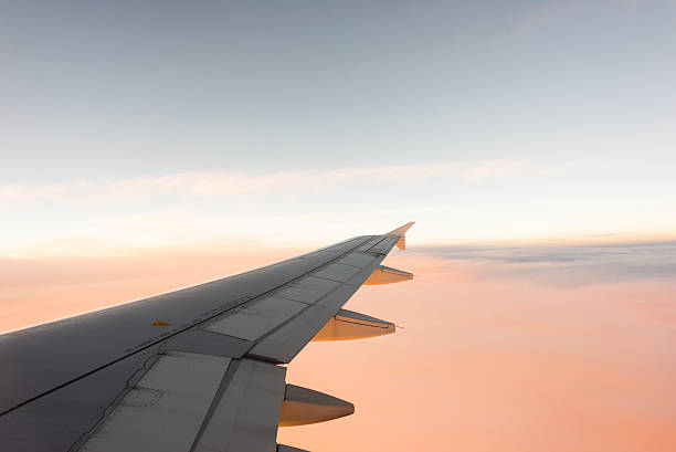 istock Wing of the airplane on blue and pink sky background 614031008