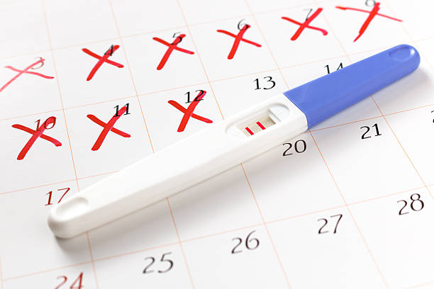 istock Pregnancy test with positive result lying on calendar 614033474