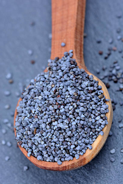 istock Spoon with poppy seeds 614035102