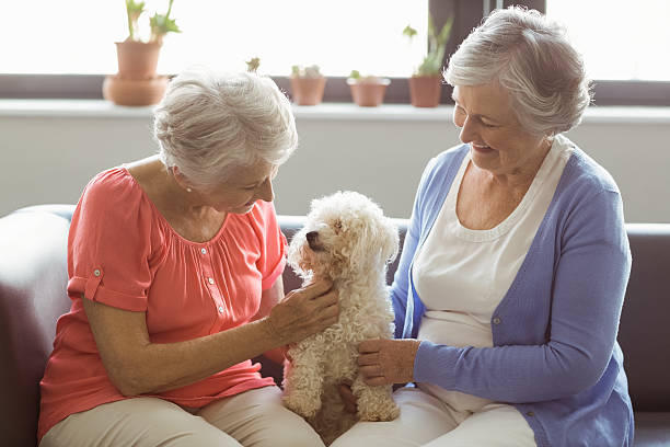 femmes âgées caressant un chien - senior adult dog nursing home pets photos et images de collection